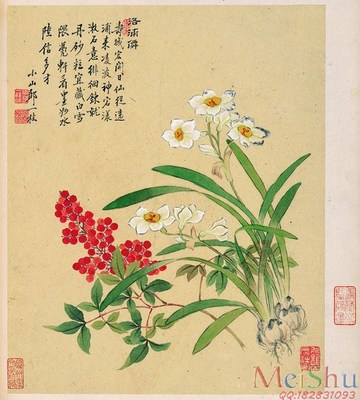 描写水仙花的诗句片段 描写水仙花的诗句