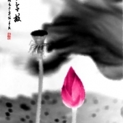 每个人心底都有那么一个童话——韩版秘密花园影评 埋在心底的秘密作文