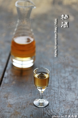 梅酒飘香---梅子酒泡制总结 梅子酒的做法