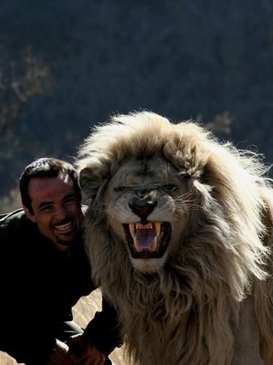 [转载]凯文理查德森+狮子 狮子凯文理查德森死了