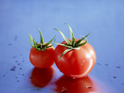 西红柿为什么又叫番茄 番茄与西红柿的区别