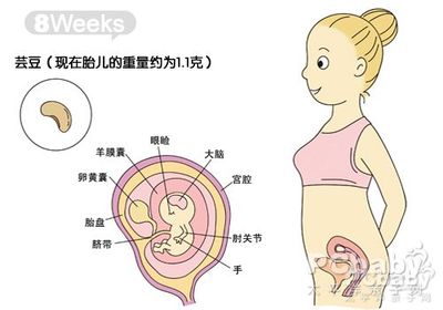 胎儿发育过程图片（1-10月）怀孕女人必看 胎儿的发育过程
