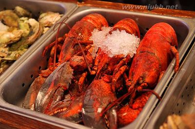 【波士顿】不可不试的龙虾生蚝餐 波士顿龙虾多少钱一斤