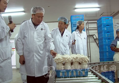 上海雪榕生物科技股份有限公司 雪榕生物下半年收益