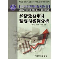 经济效益审计的程序和方法 经济效益审计案例分析