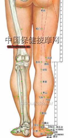 [转载]栾加芹外治医学：驱寒