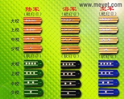 中国古代官职相关称、职、衔 军衔 官职