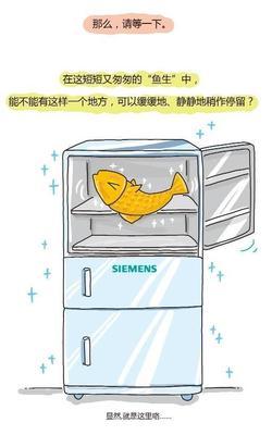 西门子家电：一条鱼进冰箱有几种方法