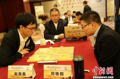 CCTV5视频直播：2013年全国象棋冠军挑战赛赵鑫鑫Vs许银川
