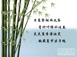 杭州西湖相关诗句 关于杭州西湖的古诗