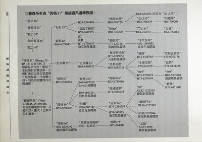 《詹森育种原理》全集 詹森育种公式