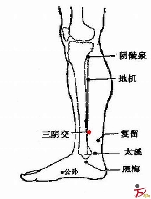 心动过速不用怕，四大穴位显神通 四大保健穴位