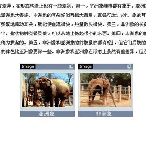 亚洲象与非洲象的区别岂止是耳朵! (详尽图文) [80P] 亚洲象和非洲象