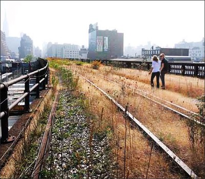 城市绿道的成功案例——纽约高线公园 大运公园绿道
