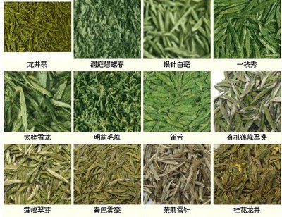 茶叶的分类和品种基本知识 茶叶基本知识