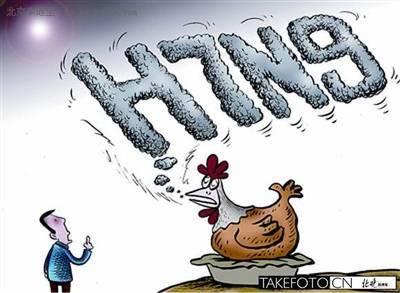 H7N9禽流感概念股一览 h7n9禽流感传播途径