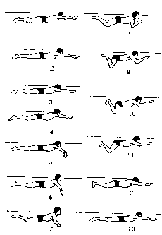 蛙泳腿部动作分解图 蛙泳腿部动作视频