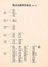 卢式太极拳在广平县的传承及主要传人 杨氏太极拳正宗传承表