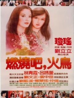 燃烧吧，火鸟A（1982，琼瑶怀旧电影） 燃烧吧火鸟小说