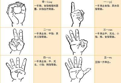 常见手语图解大全【图】 特种兵战斗48手语图解