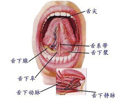 孩子舌系带短要剪吗？ 剪舌系带有什么危险吗