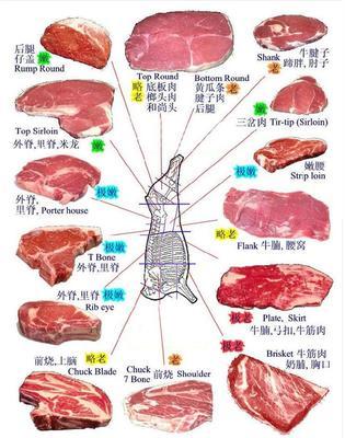 牛肉的部位图解与做法+牛肉各个部位分布图及质地简介 牛肉的部位图解