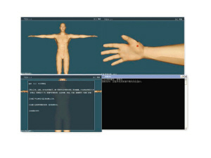 人体穴位3D模型软件1.0免费版 人体穴位查询软件