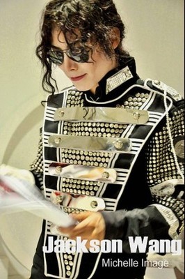 迈克尔杰克逊个人经历 迈克尔杰克逊演唱会