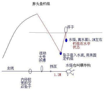 手竿钓鲢鳙遭遇大量小鱼的解决办法 手竿浮钓鲢鳙视频