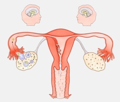 精子在女性体内存活时间是多久 精子着床有什么反应