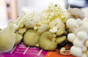 漂白蘑菇引关注 买蘑菇时需注意 积极关注的注意事项