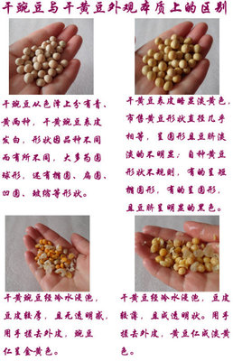 4大方面解析干豌豆与干黄豆的区别【起源别名、外观、营养价值、食 黄豆豌豆豆花