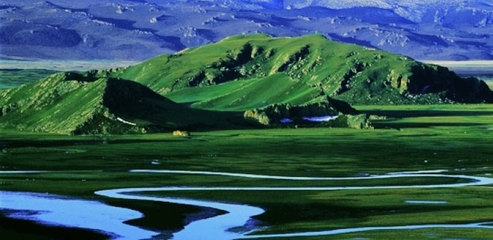 巴音布鲁克的“天鹅湖” 巴音布鲁克草原的描写