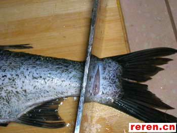 水煮鱼鱼片的切法 怎么做水煮鱼详细做法