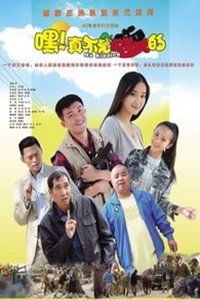【电影】河南本土搞笑片《真不是闹着玩的》 不是闹着玩的电影