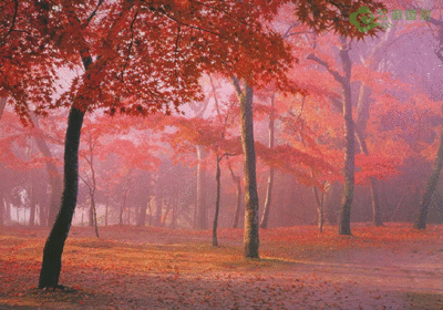 2013年北京旅游景点门票价格一览 云南景点门票一览表