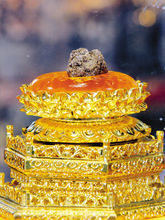世界上发现的唯一一枚佛祖真身顶骨舍利在哪里？ 释迦牟尼真身舍利