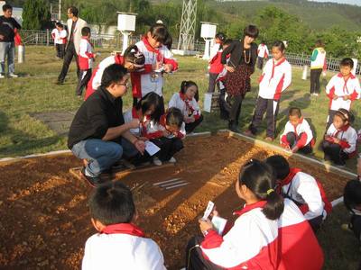 ——小学数学综合实践活动案例 小学综合实践活动书