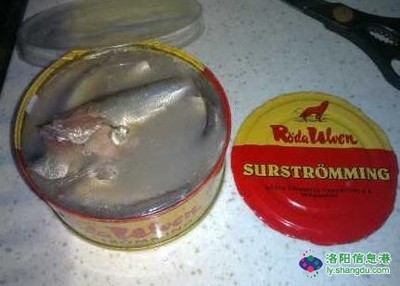 来自地狱的美食~瑞典腌鲱鱼罐头 瑞典人吃鲱鱼罐头