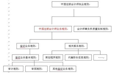 中国注册会计师执业准则（2010年修订版）(一) 注册会计师执业准则