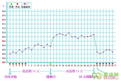 专家教您如何正确测量基础体温 基础体温不升高