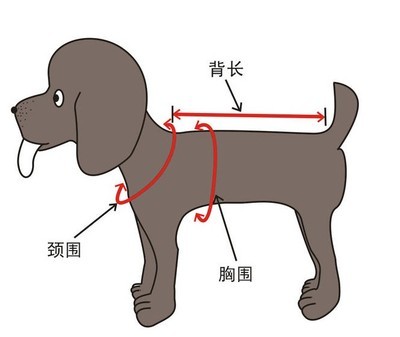 为狗狗购买衣服的测量方法 衣服胸围的测量方法