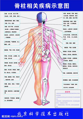 哪些脊椎病适合脊椎矫正术仝氏整骨 正骨脊椎病