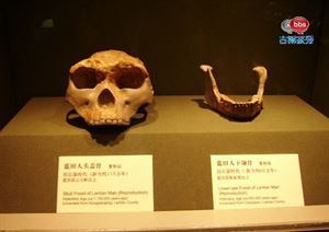 带您游西安——陕西历史博物馆（一） - 西安聚焦 - 古城茶秀 | 古 游西安攻略