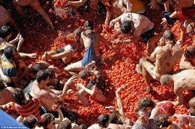 西班牙 西红柿狂欢节[11p] 西红柿狂欢节