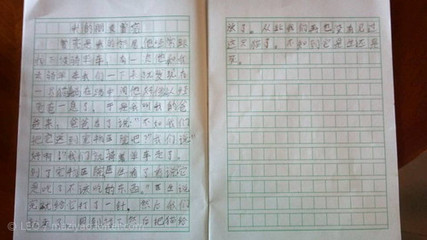 可爱的小猫作文400字 可爱的小猫作文300字