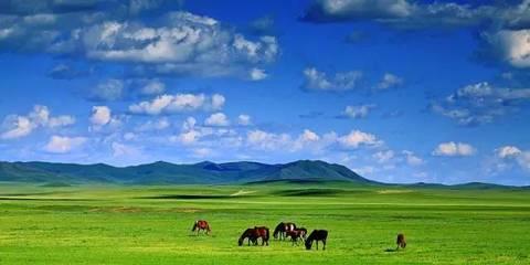2014年内蒙人不得不听的10首草原歌曲，收藏起有时间听！ 内蒙古草原旅游线路