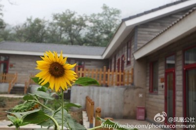 中国的各式农庄 中国四大生态农庄