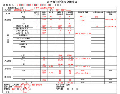 如何申报地税 地税零申报怎么填写