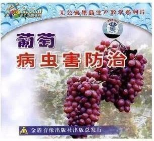 葡萄种植的三大条件 夏黑葡萄种植技术
